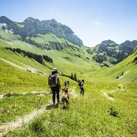 Avoraz Avr Nature & View 10 Pers Châtel