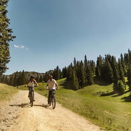 Avoraz Avr Nature & View 10 Pers * Chatel